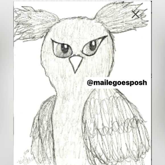 $6 Firm🦋 Spooky owl pencil hand drawing print 8.5”x10.5” Halloween Art decor - Picture 1 of 2